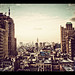 David Gotham Photo 17