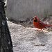 Patrick Hawks Photo 24