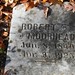 Robert Moorhead Photo 37