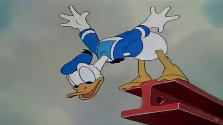 Donald Work Photo 4