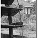 Ennis Mills Photo 10