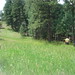 Ellen Fetter Photo 17