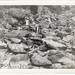 Lester Thompson Photo 41