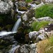 Douglas Blackburn Photo 20