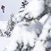 Bryan Fox Photo 43