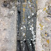 Roderick Macleod Photo 23