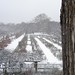Allen Cranford Photo 19