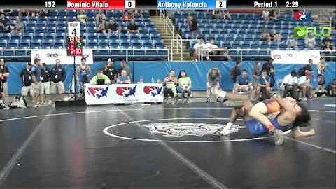 Dominic Vitale Photo 21