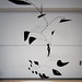 Thomas Knuth Photo 20
