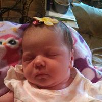 Teresa Livesay Photo 1