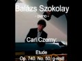 Carl Moll Photo 14