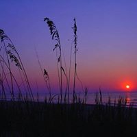 Carol Pfaff Photo 3