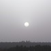 Sun Song Photo 33