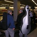 Jonathan Spitz Photo 18