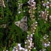 Christopher Heide Photo 18