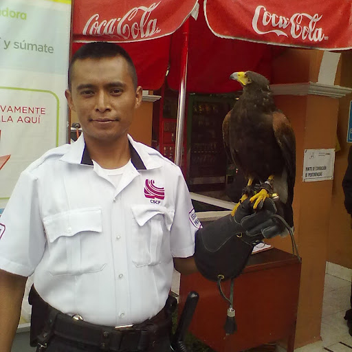 Jose Dominguez Photo 17