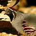 Brian Quail Photo 22