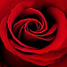 Rosa Hernandez Photo 43