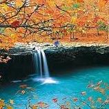 Autumn Greenberg Photo 2