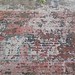 Lawrence Peel Photo 16