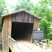 Diane Mills Photo 45