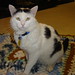 Susan Keats Photo 28
