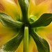 Flora Anders Photo 20