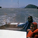 Alan Mendelson Photo 30