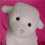 Bobbie Lamb Photo 18