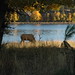 Scott Estes Photo 43