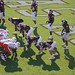 Michael Mayes Photo 38