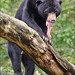 Oren Root Photo 19