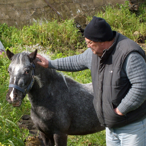 Salvatore Palumbo Photo 16