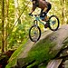 Dan Peer Photo 28
