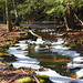 William Rothrock Photo 30