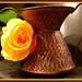 Rosa Del Photo 31