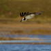 Bryan Hunt Photo 49