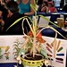 Charles Corn Photo 28