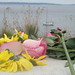 Leah Townsend Photo 34
