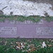 Martin Schultz Photo 45
