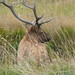 Brenda Estes Photo 30