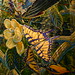 Scott Corbitt Photo 26