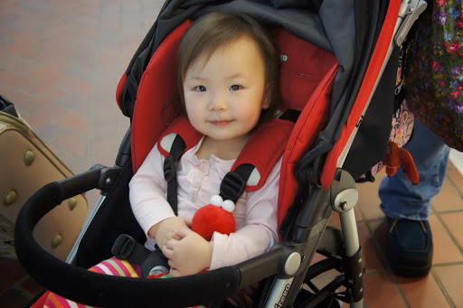 Jacqueline Wang Photo 13