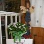 Amy Wickham Photo 26