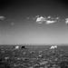 Shari Stanley Photo 34
