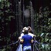 Donna Schreck Photo 24