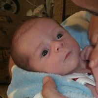 John Orfanos Photo 4
