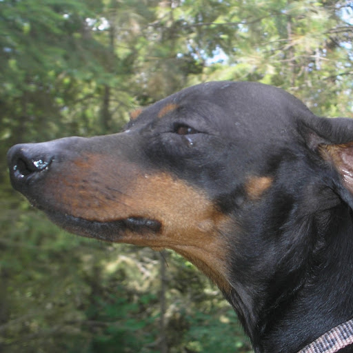 Linda Goodrich Photo 9