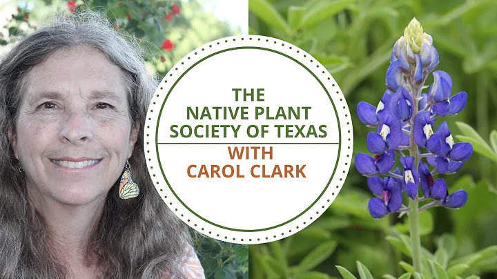 Carol Clark Photo 35