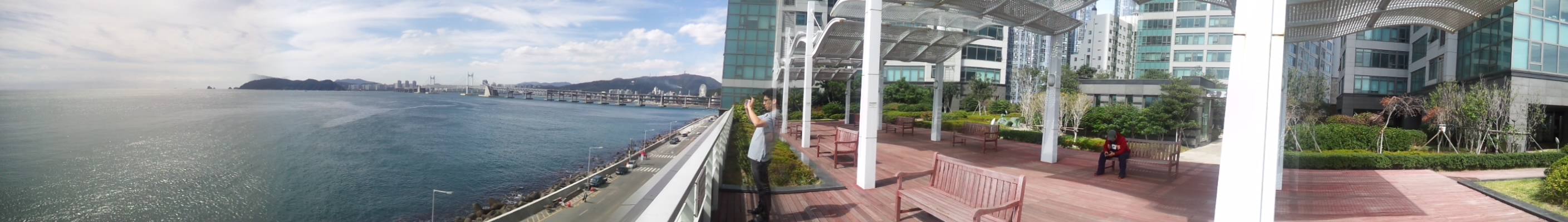 Min Park Photo 22